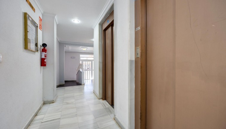 Reventa - Apartamento / piso - Guardamar del Segura