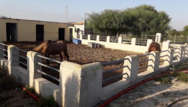Återförsäljning - Fristående hus - La Matanza