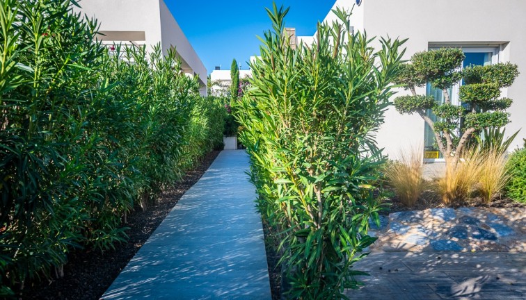 Resale - Chalet - Algorfa