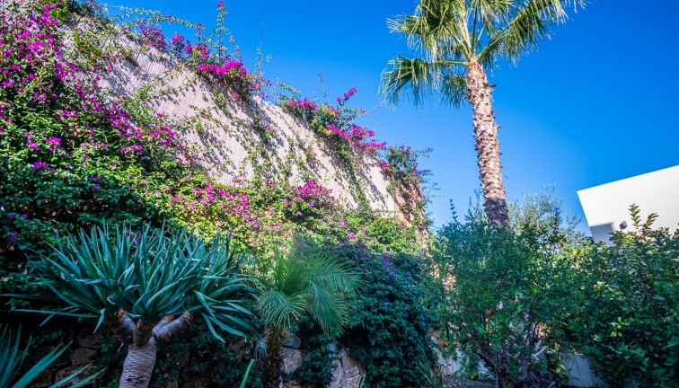 Resale - Chalet - Algorfa