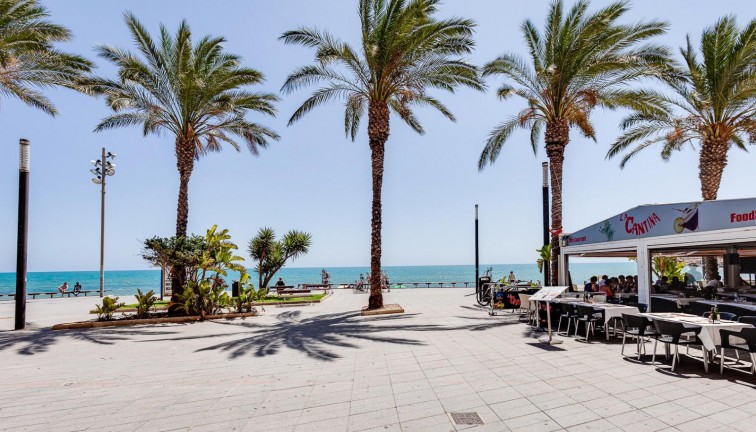 Reventa - Apartamento / piso - Torrevieja