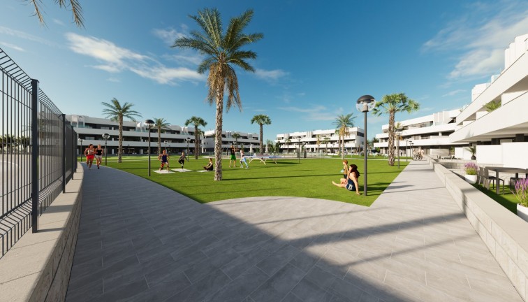 Obra nueva - Apartamento / piso - Guardamar del Segura