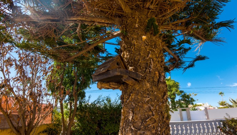 Reventa - Chalet - La Siesta - El Salado - Torreta - La Siesta