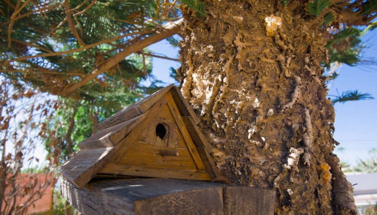 Reventa - Chalet - La Siesta - El Salado - Torreta - La Siesta