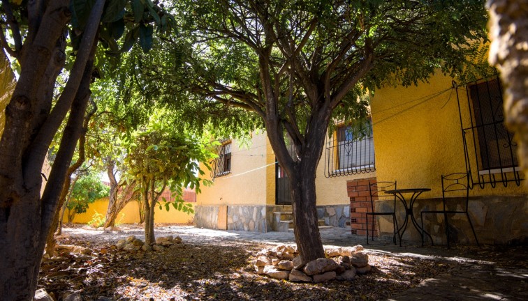 Reventa - Chalet - La Siesta - El Salado - Torreta - La Siesta