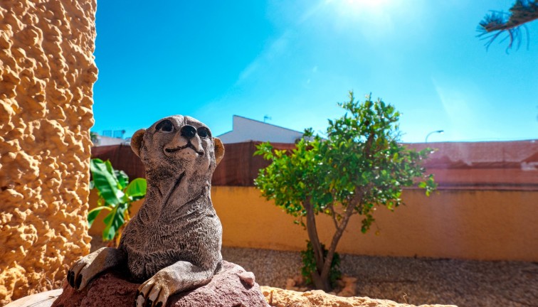 Reventa - Chalet - La Siesta - El Salado - Torreta - La Siesta