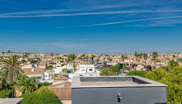 Resale - Apartment - Top Floor Apartment - Playa Flamenca