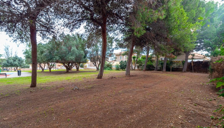 Reventa - Casa adosada - Torrevieja - Los Altos