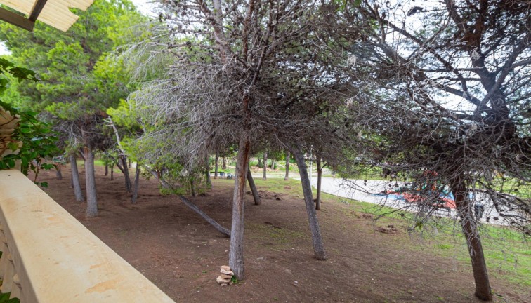 Reventa - Casa adosada - Torrevieja - Los Altos