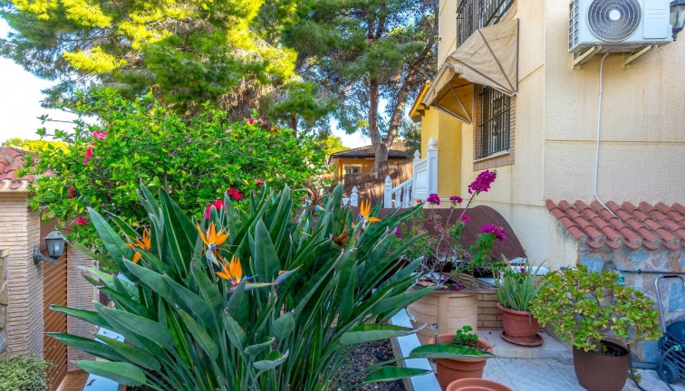 Reventa - Chalet - Torrevieja - Los Balcones