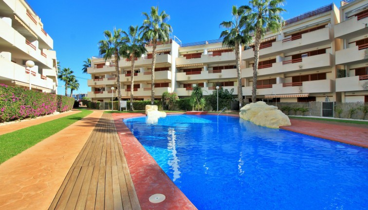 Reventa - Apartamento / piso - Orihuela Costa - Playa Flamenca