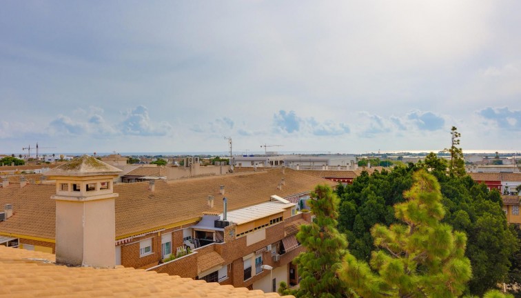 Reventa - Apartamento - Apartamento en el último piso - Pilar de la Horadada