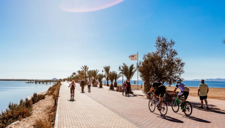 Reventa - Apartamento - Apartamento en el último piso - Pilar de la Horadada