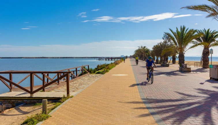 Reventa - Apartamento - Apartamento en el último piso - Pilar de la Horadada