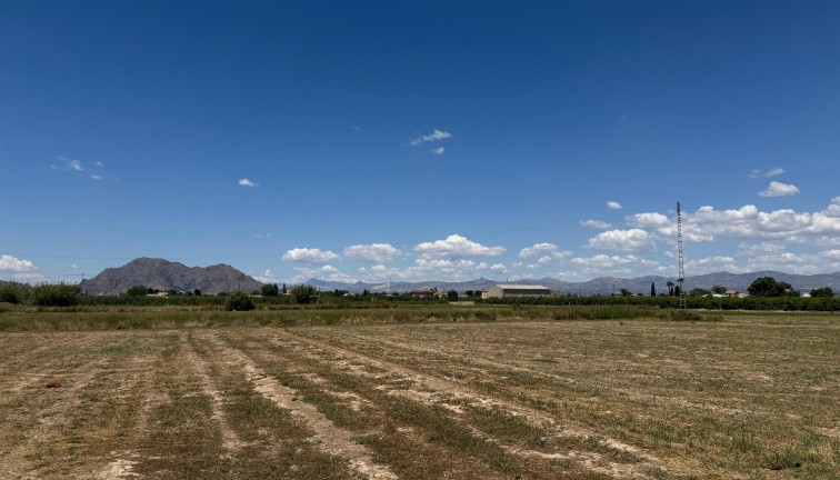 Resale - Apartment - Almoradí