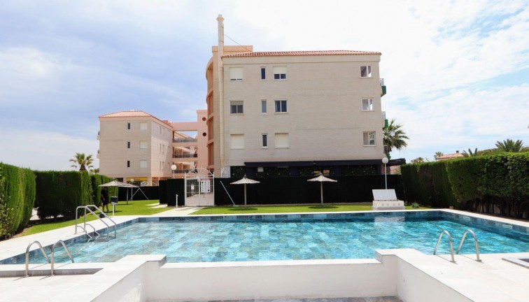 Reventa - Apartamento / piso - Torrevieja - Playa Flamenca