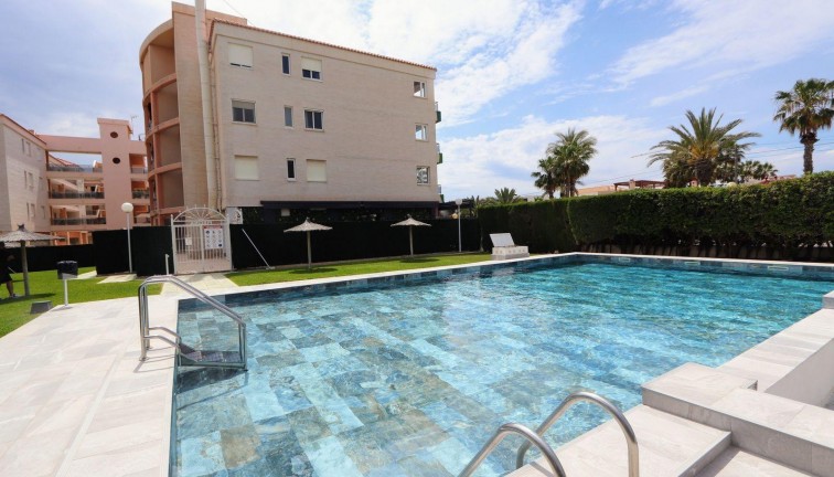 Reventa - Apartamento / piso - Torrevieja - Playa Flamenca