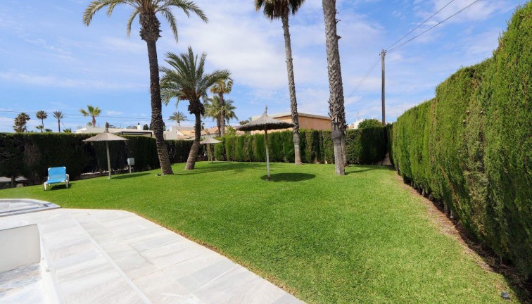 Reventa - Apartamento / piso - Torrevieja - Playa Flamenca