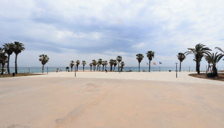 Reventa - Apartamento / piso - Torrevieja - Playa Flamenca