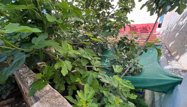 Resale - Chalet - Benejúzar