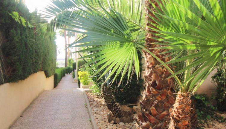 Reventa - Apartamento / piso - Torrevieja - La veleta