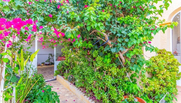 Resale - Chalet - Orihuela Costa - La Zenia