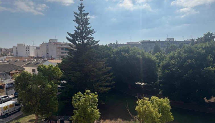 Återförsäljning - Lägenhet - Torrevieja - Acequion