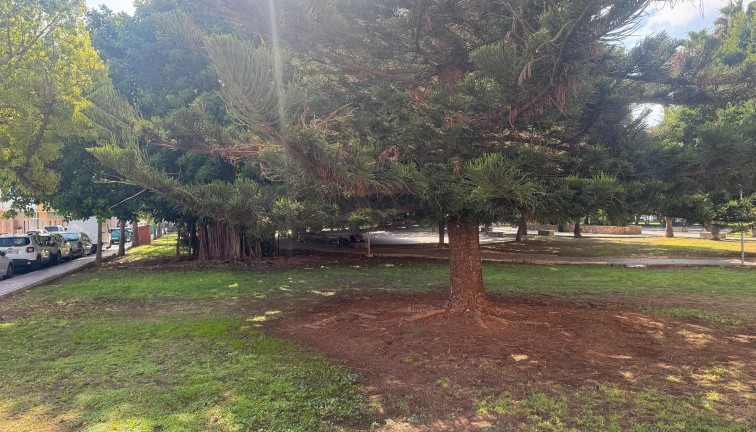 Återförsäljning - Lägenhet - Torrevieja - Acequion