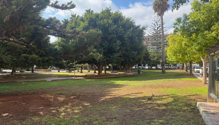 Återförsäljning - Lägenhet - Torrevieja - Acequion