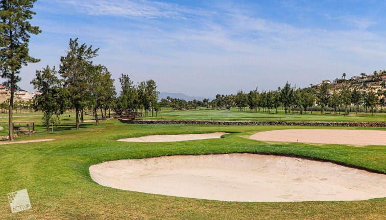 Obra nueva - Chalet - Rojales - Ciudad Quesada