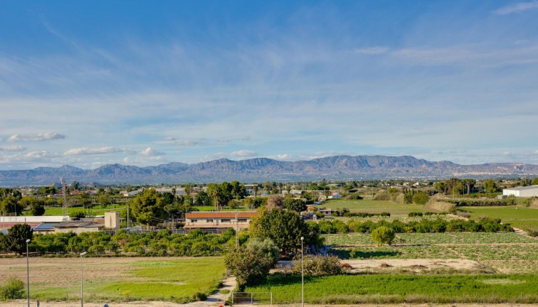 Reventa - Apartamento - Apartamento en el último piso - Almoradí