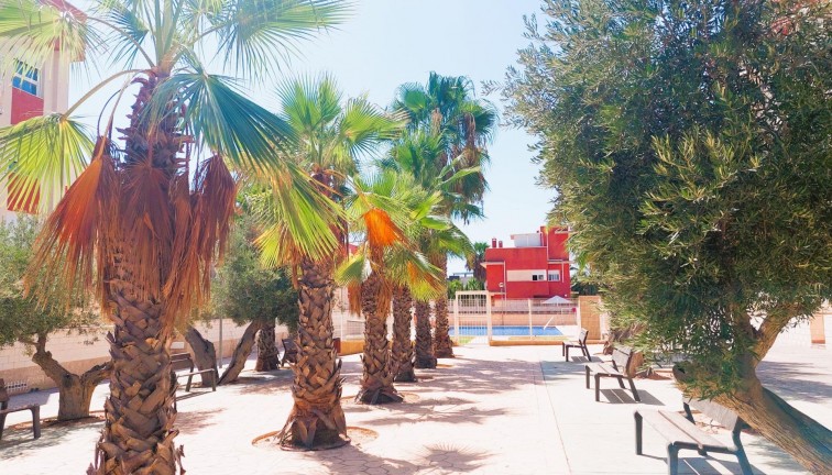 Reventa - Apartamento - Apartamento en el último piso - Orihuela Costa - Lomas de Cabo Roig