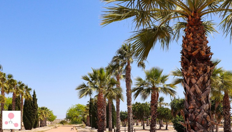 Obra nueva - Chalet - San Fulgencio