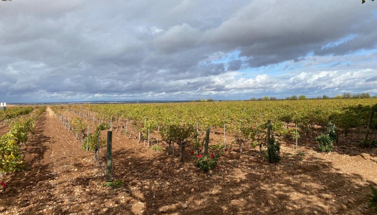 Resale - Cellar - Albacete