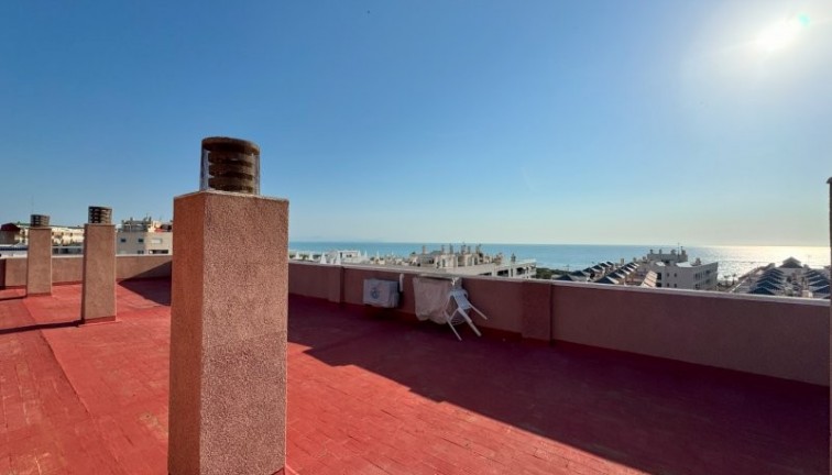 Återförsäljning - Lägenhet - La Mata - LA MATA