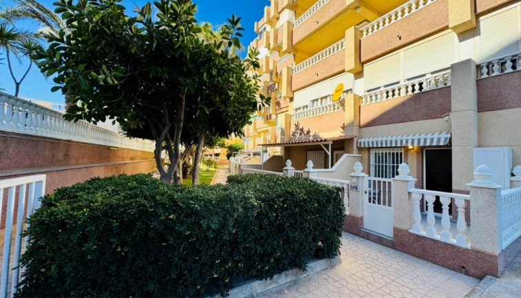 Resale - Apartment - La Mata - LA MATA