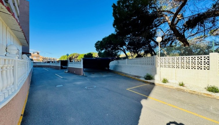 Resale - Apartment - La Mata - LA MATA