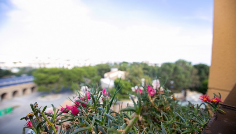 Återförsäljning - Lägenhet - La Zenia