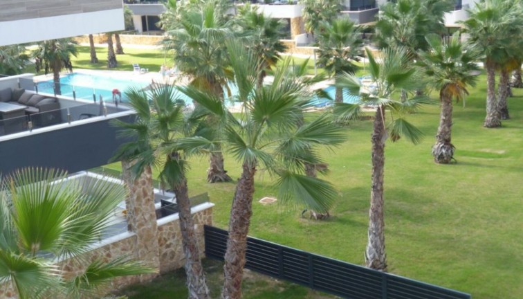 New Build - Apartment - Los Altos