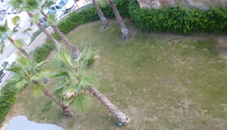 New Build - Apartment - Los Altos