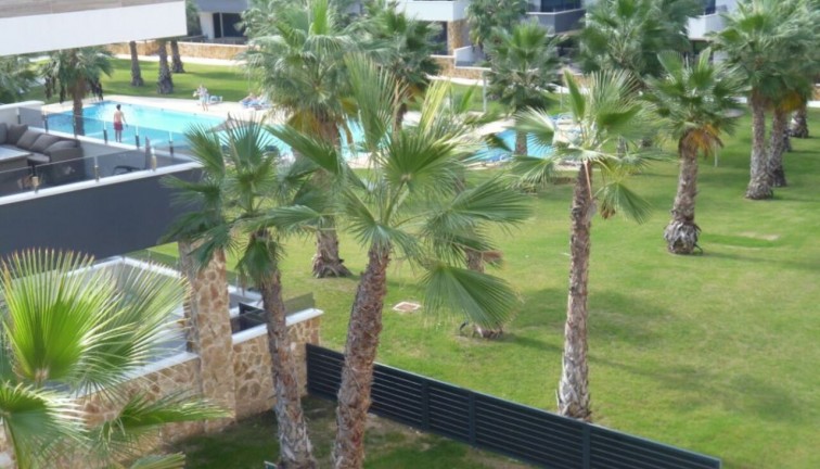 New Build - Apartment - Los Altos