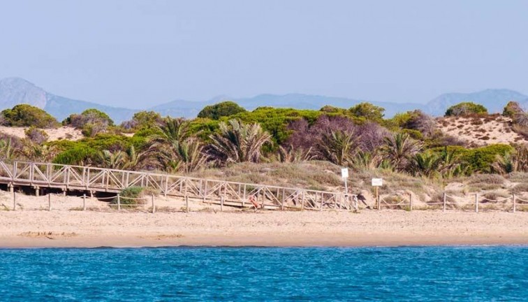 New Build - Apartment - Top Floor Apartment - Guardamar del Segura