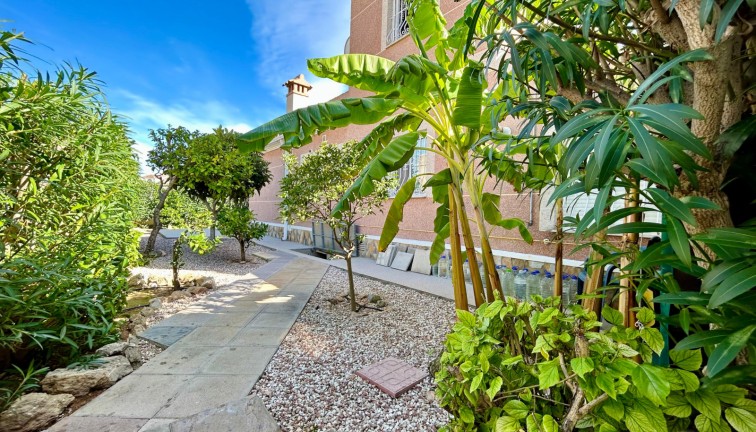 Resale - Chalet - El Chaparral - El chaparral