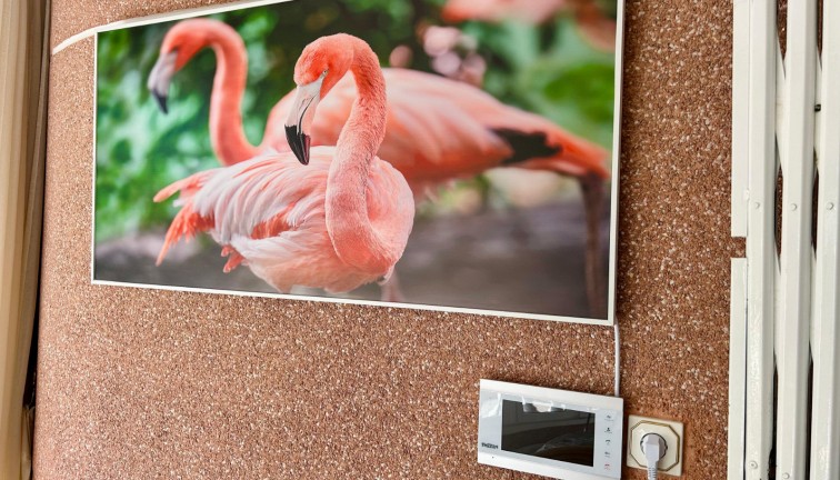 Resale - Chalet - El Chaparral - El chaparral