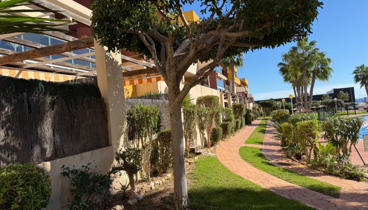 Reventa - Apartamento - Apartamento en el último piso - Orihuela Costa - Playa Flamenca