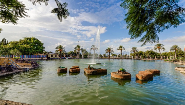 Reventa - Apartamento / piso - Torrevieja