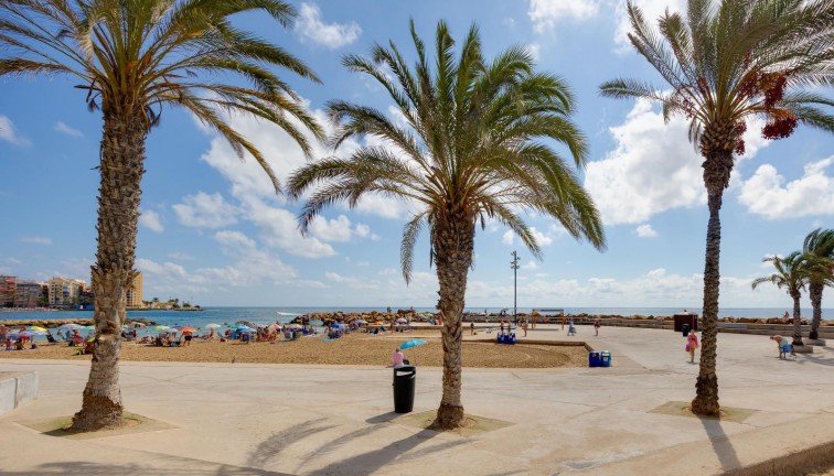 Reventa - Apartamento / piso - Torrevieja