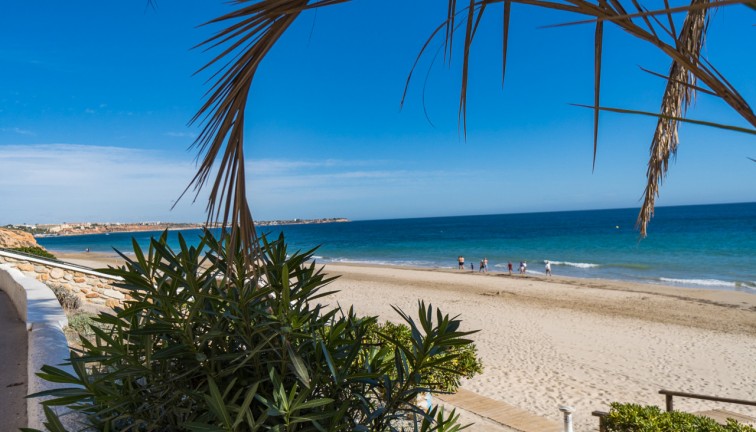 Reventa - Apartamento / piso - Mil Palmeras