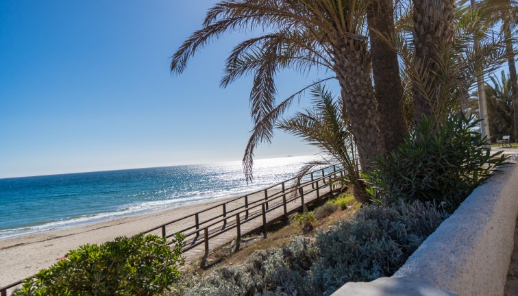 Reventa - Apartamento / piso - Mil Palmeras