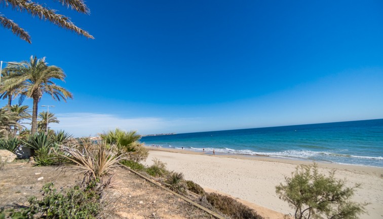 Reventa - Apartamento / piso - Mil Palmeras